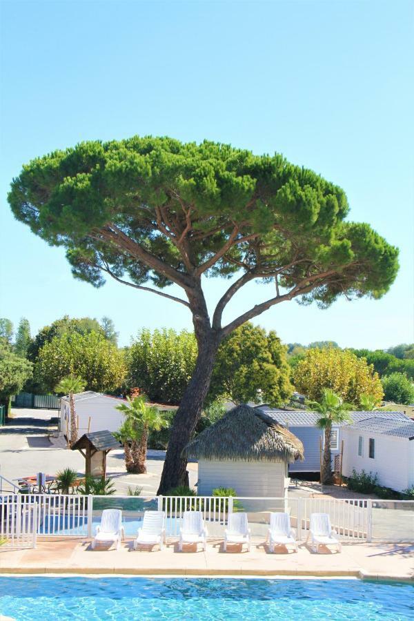 La Pinede Camping Grimaud Exterior foto